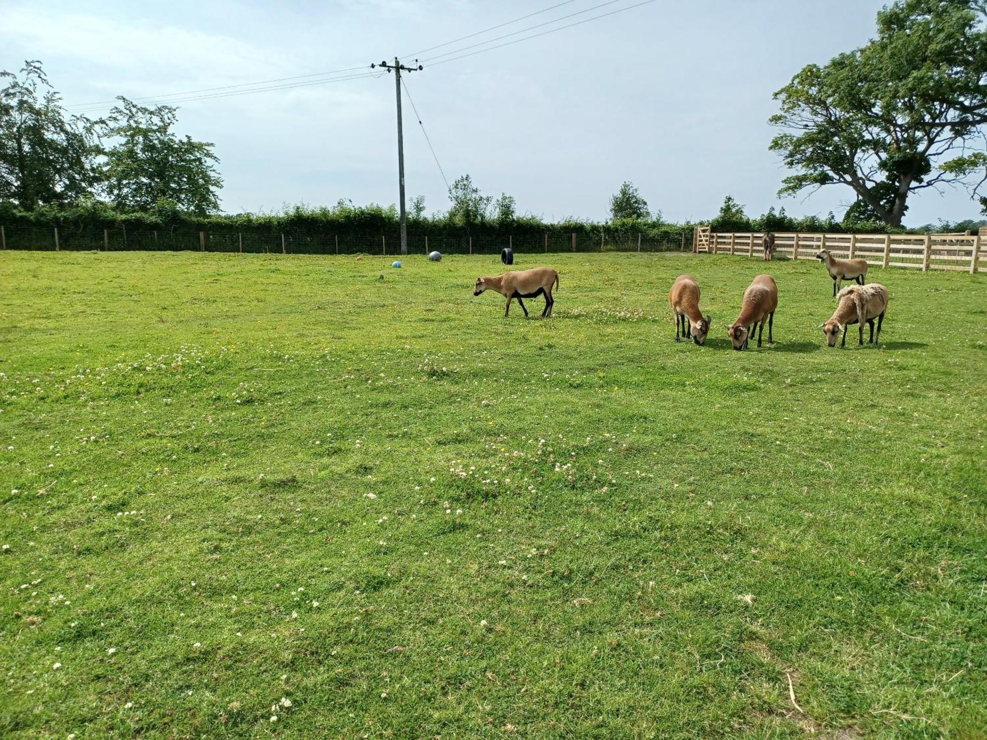 Green View Lodges Wigton Esterno foto